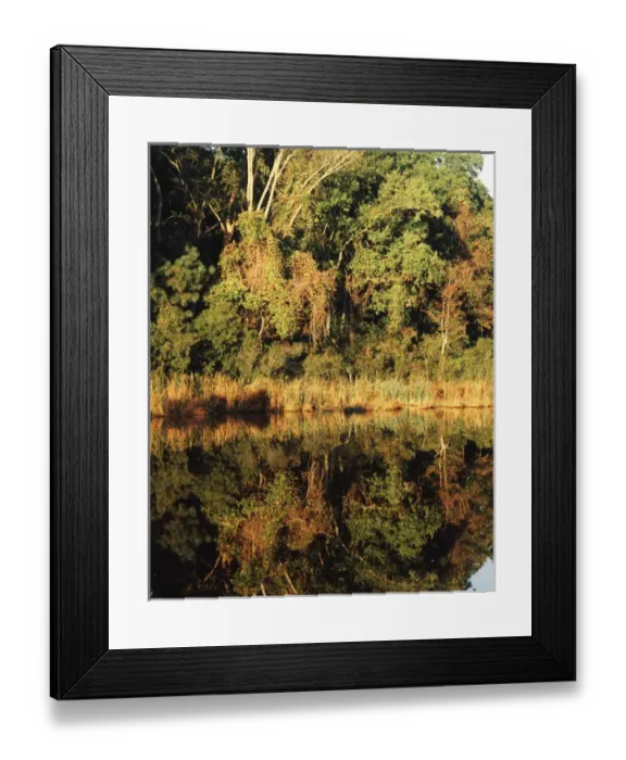 Framed Print : USA, Virginia, View of marsh at sunrise in Jamestown island Framed Print : USA, Virginia, View of marsh at sunrise in Jamestown island