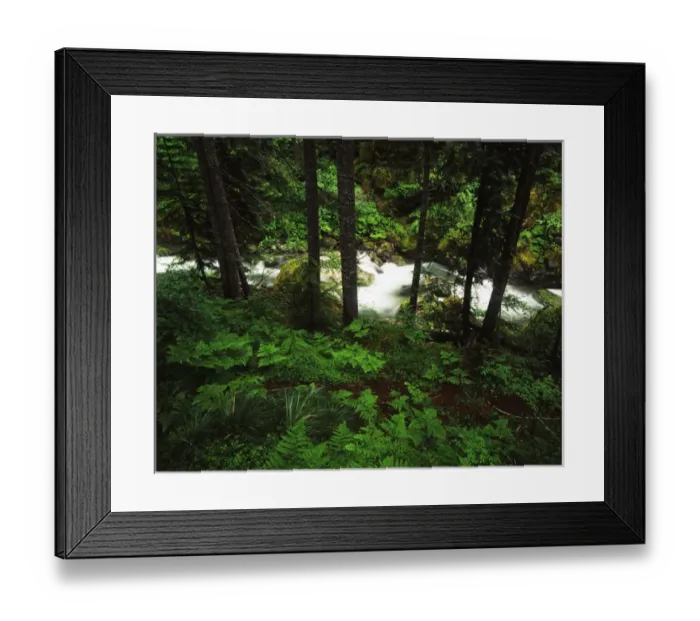 Framed Print : USA, Washington State, Mt Rainier National Park, Nickel creek cascading through forest Framed Print : USA, Washington State, Mt Rainier National Park, Nickel creek cascading through forest