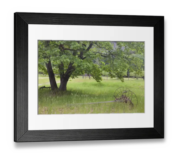 Framed Print : USA, Washington, Stehekin. Historic Buckner Orchard and Homestead in North Cascades National Park Framed Print : USA, Washington, Stehekin. Historic Buckner Orchard and Homestead in North Cascades National Park