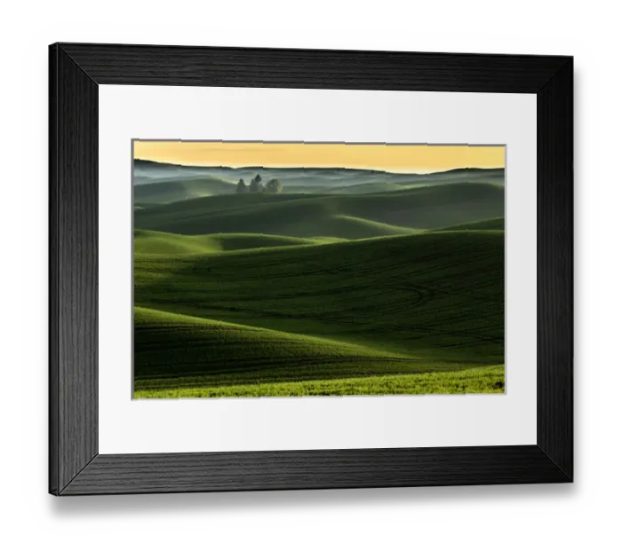 Framed Print : Rolling hills covered in wheat at sunset, Palouse region of eastern Washington Framed Print : Rolling hills covered in wheat at sunset, Palouse region of eastern Washington
