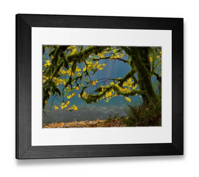 Framed Print : Lake Crescent, Olympic National Park, Washington, USA