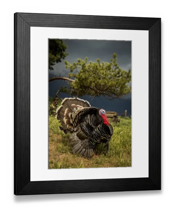 Framed Print : USA: Washington, Palouse, Whitman County, No Water No Life Snake River Expedition 2 of 2015 Framed Print : USA: Washington, Palouse, Whitman County, No Water No Life Snake River Expedition 2 of 2015