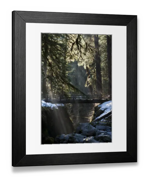 Framed Print : Footbridge near Sol Duc Falls, Olympic National Park, Washington, USA
