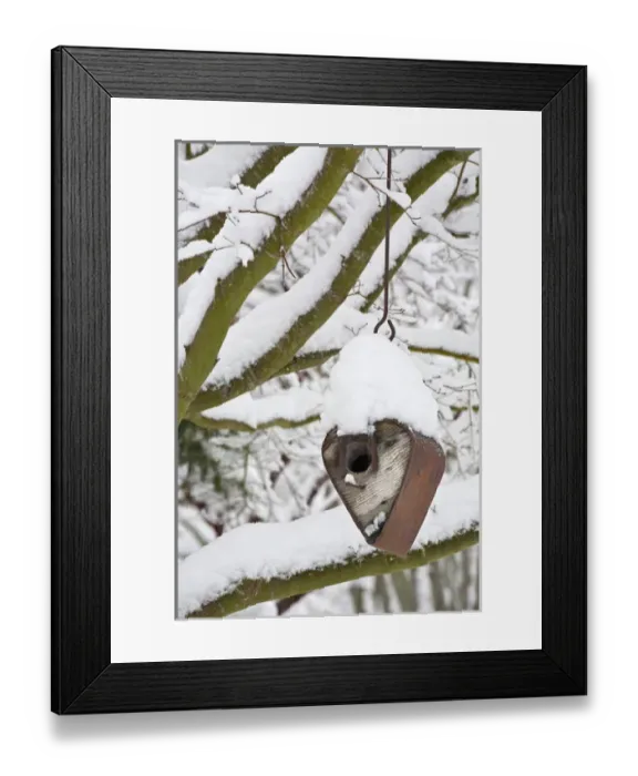 Framed Print : USA, Washington, Seabeck. Heart-shaped bird house covered in snow Framed Print : USA, Washington, Seabeck. Heart-shaped bird house covered in snow