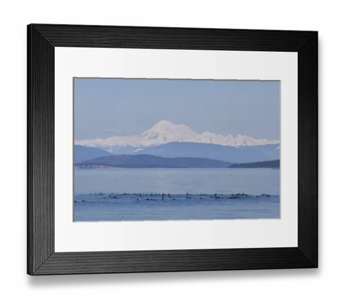 Framed Print : USA, Washington, San Juan Islands. Mount Baker seen from the San Juan Islands. Credit as Framed Print : USA, Washington, San Juan Islands. Mount Baker seen from the San Juan Islands. Credit as