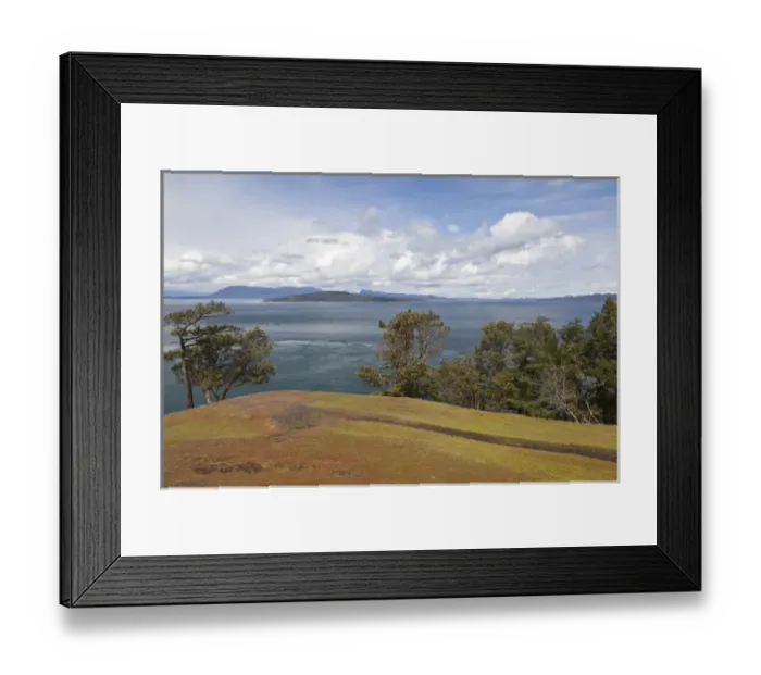 Framed Print : USA, Washington, San Juan Islands. Scenic overlook near Turn Point on Stuart Island Framed Print : USA, Washington, San Juan Islands. Scenic overlook near Turn Point on Stuart Island