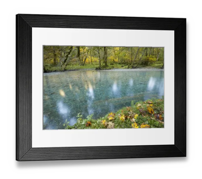 Framed Print : USA, Washington. Scenic of Quinault River in the Olympic National Park. Credit as Framed Print : USA, Washington. Scenic of Quinault River in the Olympic National Park. Credit as