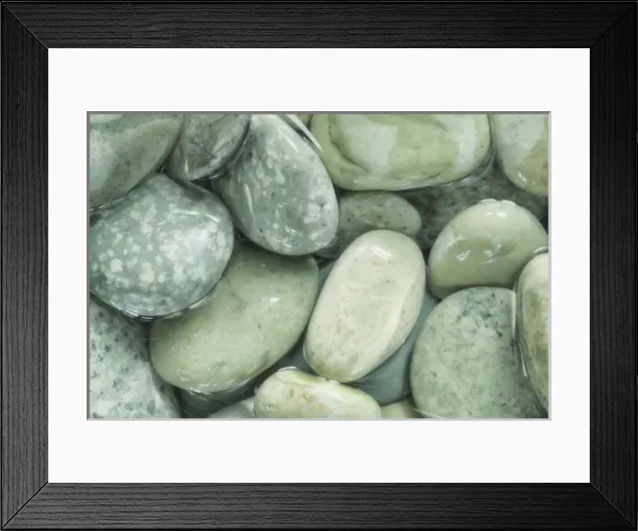 Framed Print : USA, Washington, Seabeck. Close-up of wet rocks