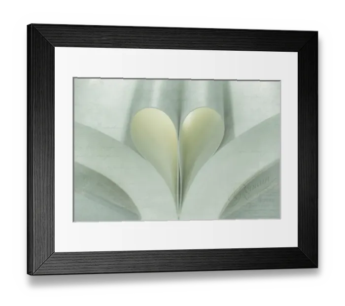 Framed Print : USA, Washington, Seabeck. Open book with pages forming a heart Framed Print : USA, Washington, Seabeck. Open book with pages forming a heart