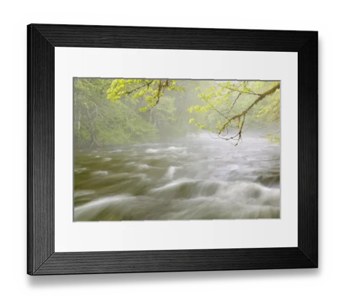 Framed Print : USA, Washingon, Cascade Mountains. Cascading water in Beckler River Framed Print : USA, Washingon, Cascade Mountains. Cascading water in Beckler River