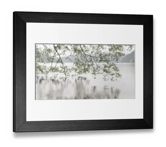 Framed Print : USA, Washington, Olympic National Park. Alder trees overhanging Lake Crescent on rainy day Framed Print : USA, Washington, Olympic National Park. Alder trees overhanging Lake Crescent on rainy day