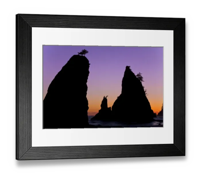 Framed Print : USA, Washington, Olympic National Park. Sunset on Rialto Beach sea stacks. Credit as