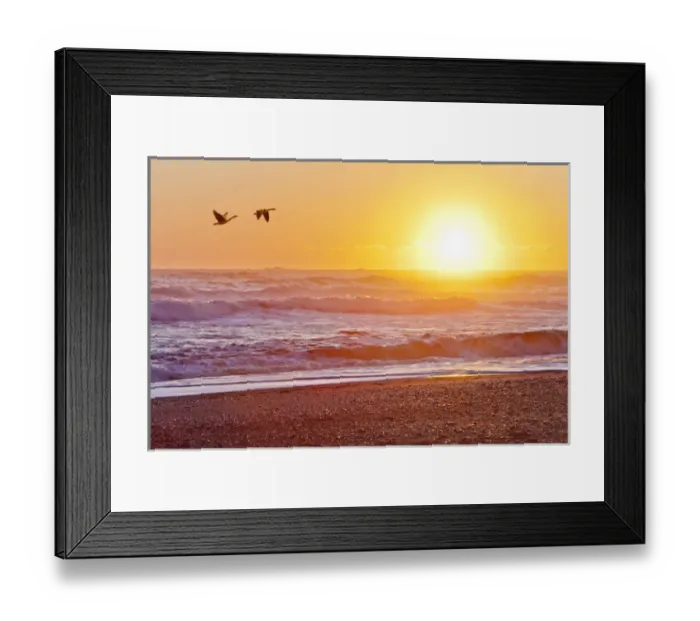 Framed Print : USA, Washington, Olympic National Park. Canada geese flying past Rialto Beach at sunset Framed Print : USA, Washington, Olympic National Park. Canada geese flying past Rialto Beach at sunset