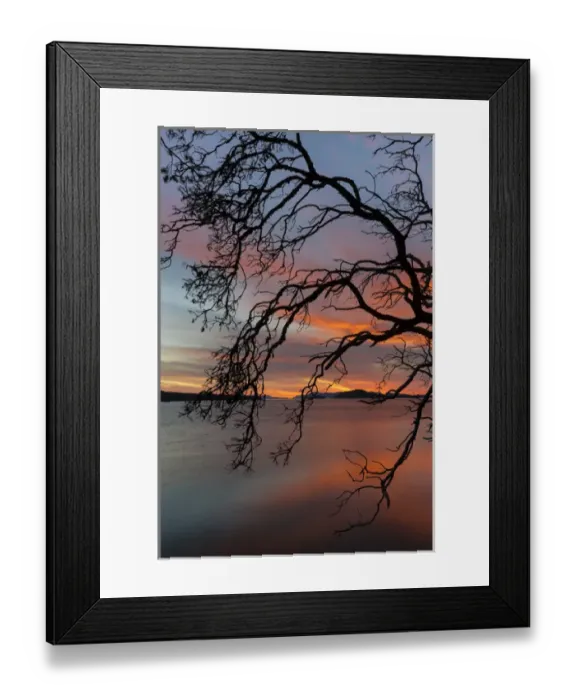 Framed Print : USA, Washington, San Juan Islands. Tree silhouette at sunset Framed Print : USA, Washington, San Juan Islands. Tree silhouette at sunset
