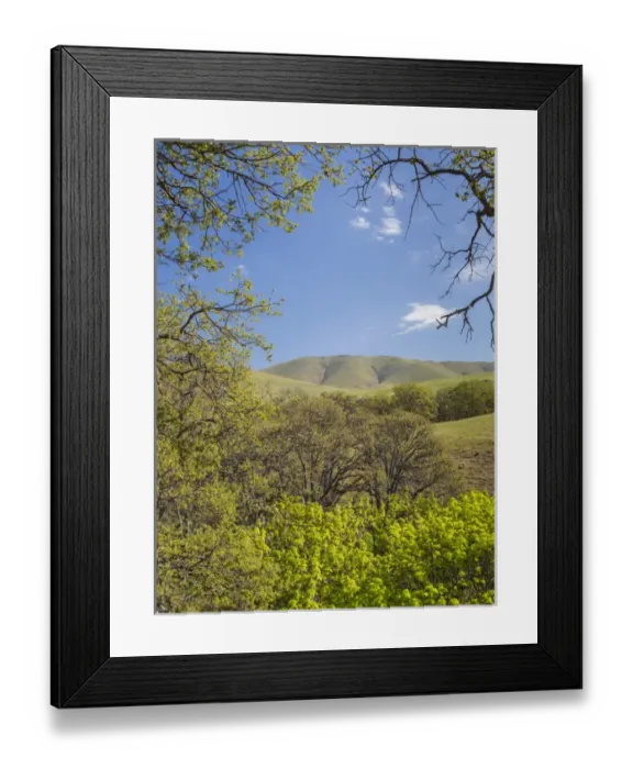 Framed Print : USA, Washington, Columbia Hills State Park. Landscape of trees and hills. Credit as