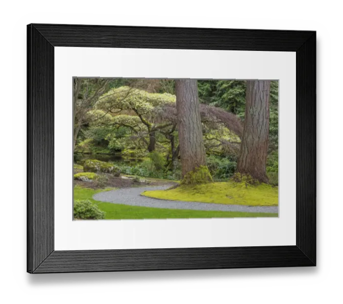 Framed Print : USA, Washington, Bainbridge Island. Japanese Garden in The Bloedel Reserve. Credit as Framed Print : USA, Washington, Bainbridge Island. Japanese Garden in The Bloedel Reserve. Credit as