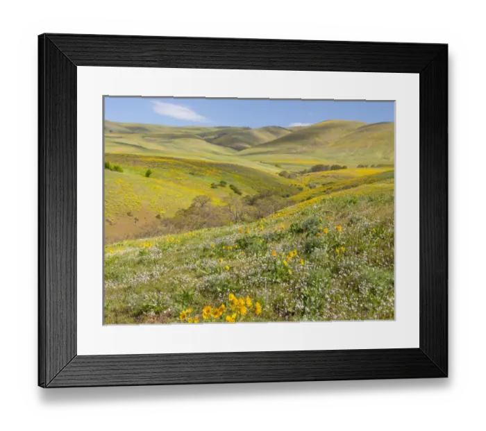 Framed Print : USA, Washington, Columbia Hills State Park. Landscape of trees and hills. Credit as Framed Print : USA, Washington, Columbia Hills State Park. Landscape of trees and hills. Credit as