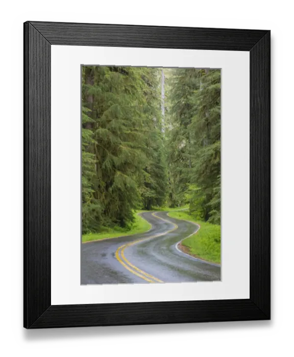 Framed Print : USA, Washington, Olympic National Park. Sol Duc River Road through forest. Credit as Framed Print : USA, Washington, Olympic National Park. Sol Duc River Road through forest. Credit as