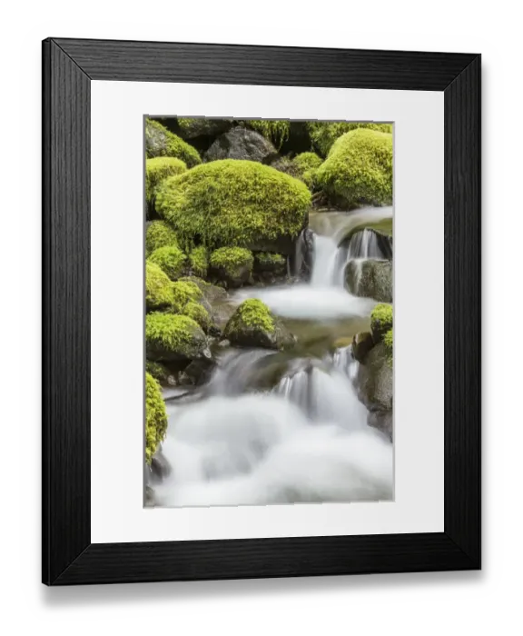 Framed Print : USA, Washington, Olympic National Park. Small stream in forest Framed Print : USA, Washington, Olympic National Park. Small stream in forest