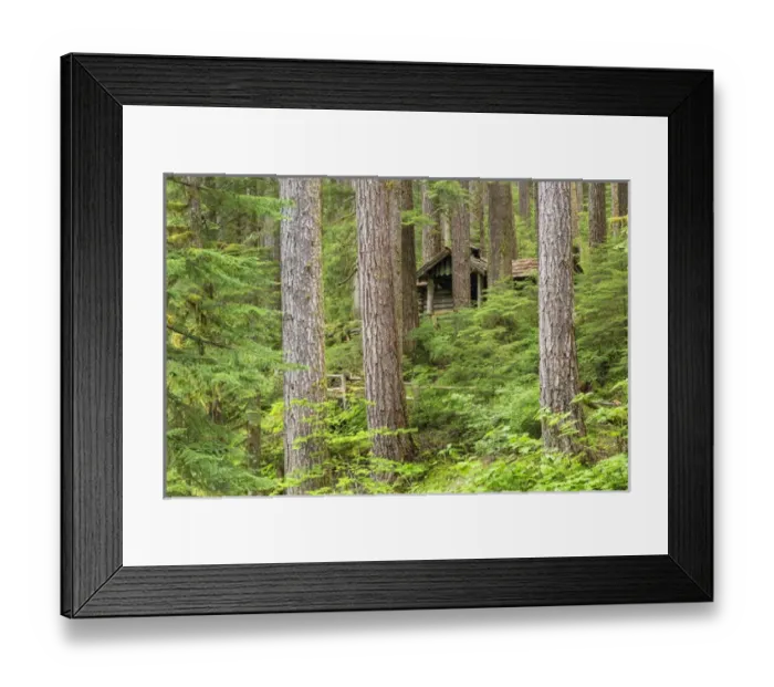 Framed Print : USA, Washington, Olympic National Park. Forest cabin shelter Framed Print : USA, Washington, Olympic National Park. Forest cabin shelter