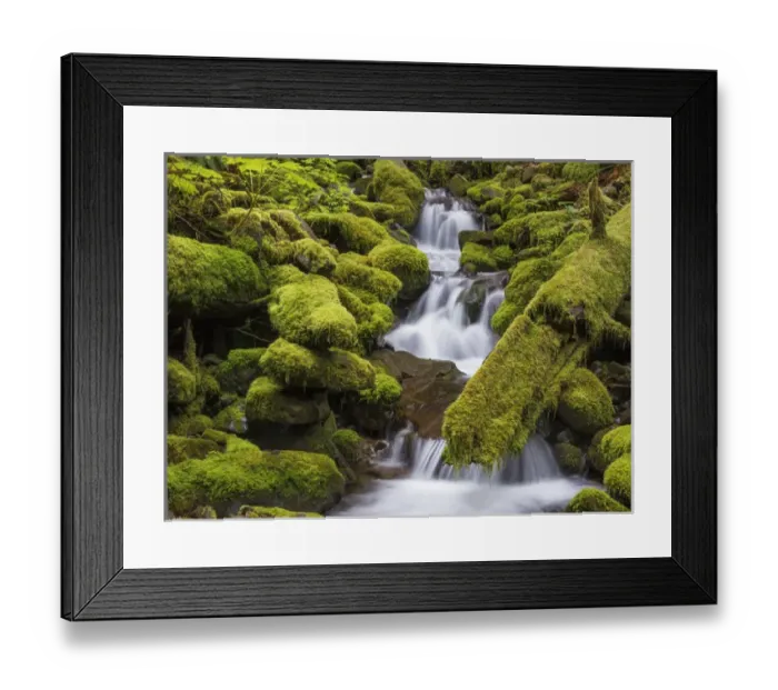 Framed Print : USA, Washington, Olympic National Park. Small stream in forest Framed Print : USA, Washington, Olympic National Park. Small stream in forest