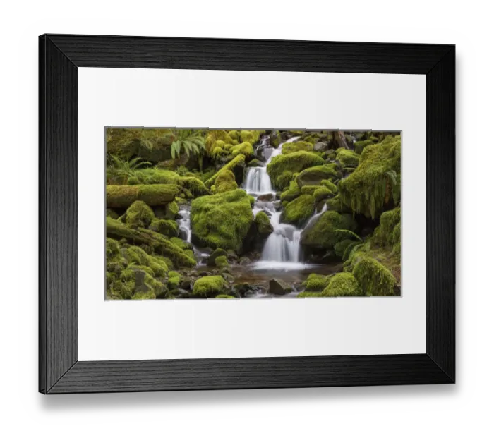 Framed Print : USA, Washington, Olympic National Park. Small stream in forest Framed Print : USA, Washington, Olympic National Park. Small stream in forest