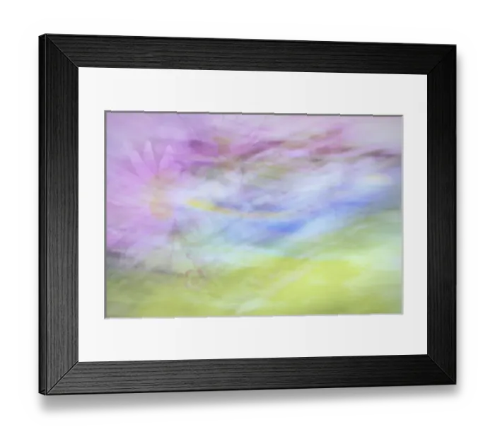 Framed Print : USA, Washington, Seabeck. Abstract of flowers in motion