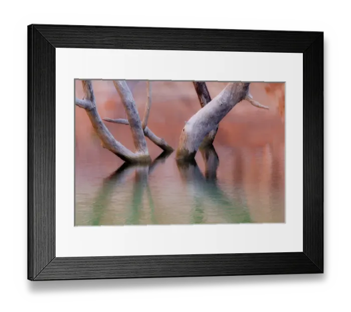 Framed Print : USA, Utah, Glen Canyon National Recreation Area. Dead cottonwood trunks in lake. Credit as Framed Print : USA, Utah, Glen Canyon National Recreation Area. Dead cottonwood trunks in lake. Credit as