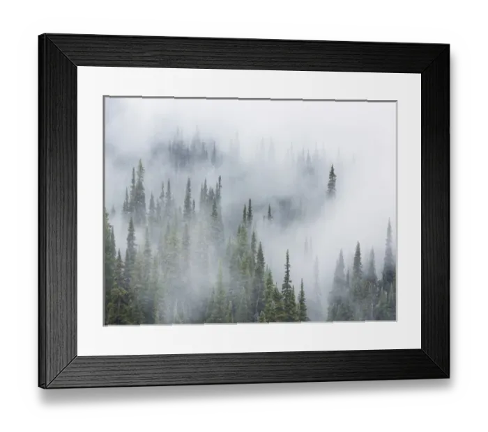 Framed Print : USA, Washington, Mount Rainier National Park. Landscape of fog in forest. Credit as Framed Print : USA, Washington, Mount Rainier National Park. Landscape of fog in forest. Credit as