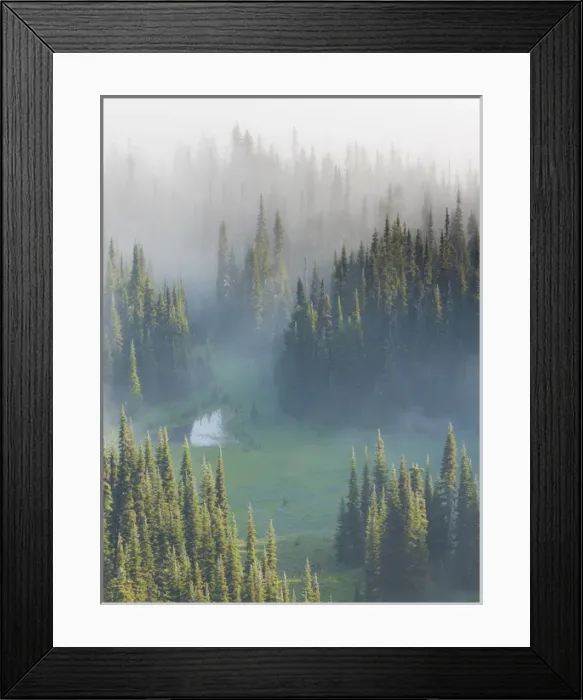 Framed Print : USA, Washington, Mount Rainier National Park. Overview of Surprise Lake. Credit as Framed Print : USA, Washington, Mount Rainier National Park. Overview of Surprise Lake. Credit as