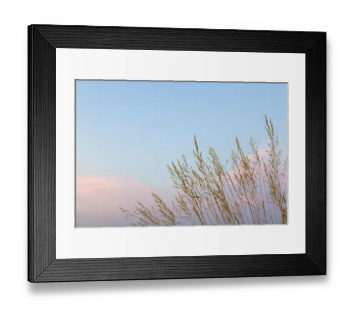 Framed Print : USA, Washington, Seabeck. Grasses at sunset