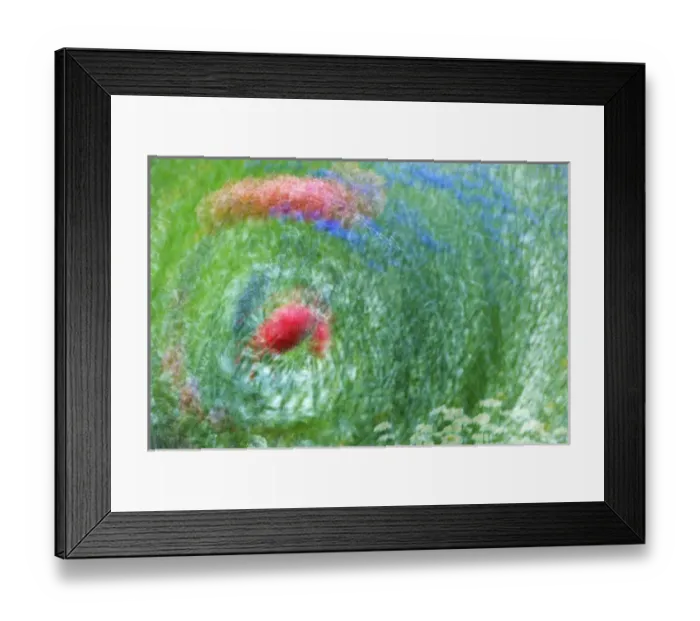 Framed Print : USA, Washington, Whidbey Island. Montage of flowers and greenery Framed Print : USA, Washington, Whidbey Island. Montage of flowers and greenery