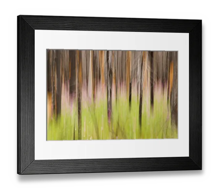 Framed Print : Canada, British Columbia. Motion blur of grass and trees Framed Print : Canada, British Columbia. Motion blur of grass and trees