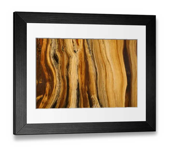 Framed Print : USA, California, White Mountains Wilderness. Patterns in bristlecone pine wood. Credit as