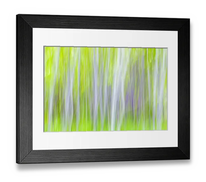 Framed Print : USA, Washington, Yakima River Trail. Abstract of aspen trees