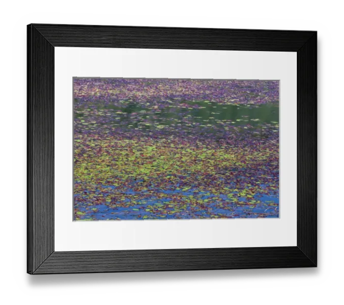 Framed Print : USA, Oregon, Tahkenitch Lake. Abstract of duck weed on lake Framed Print : USA, Oregon, Tahkenitch Lake. Abstract of duck weed on lake