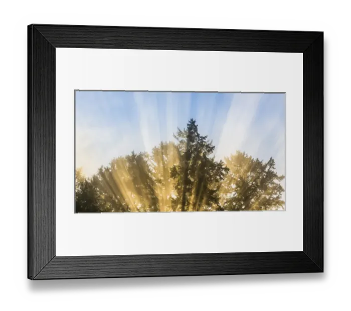 Framed Print : USA, Washington, Seabeck. Sun rays through fir trees