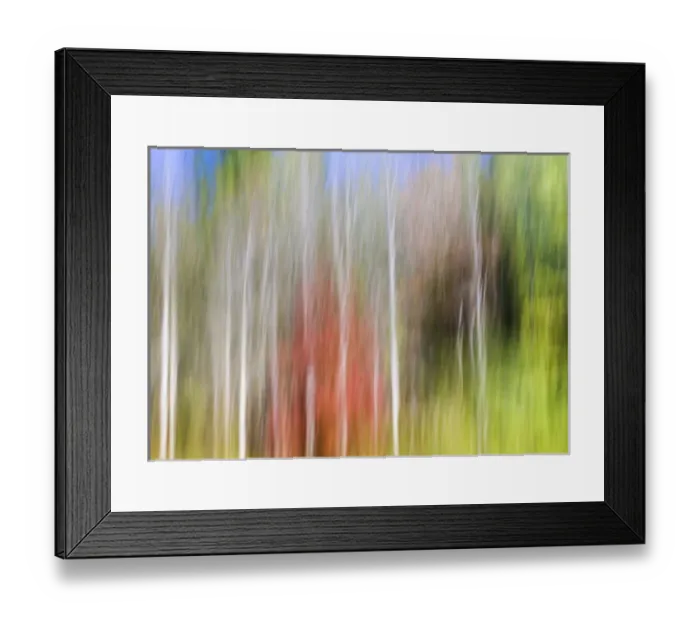 Framed Print : USA, Tennessee, Cherokee National Forest. Abstract tree reflections in pond. Credit as Framed Print : USA, Tennessee, Cherokee National Forest. Abstract tree reflections in pond. Credit as
