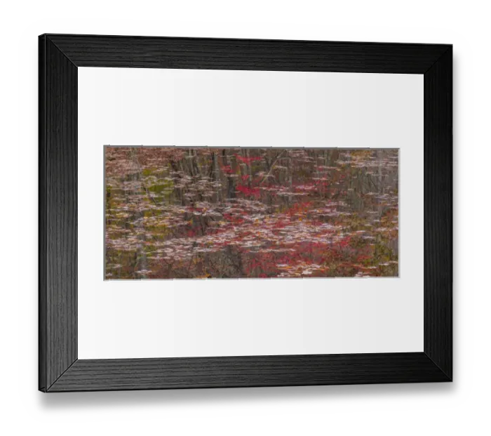 Framed Print : USA, Tennessee, Falls Creek Falls State Park. Fall reflections in Fall Creek Lake Framed Print : USA, Tennessee, Falls Creek Falls State Park. Fall reflections in Fall Creek Lake