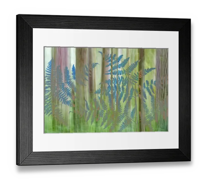Framed Print : USA, Washington, Seabeck. Collage of bracken ferns and forest Framed Print : USA, Washington, Seabeck. Collage of bracken ferns and forest
