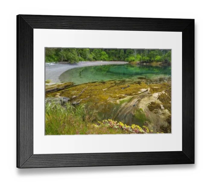 Framed Print : USA, Washington, San Juan Islands. Secluded bay on Sucia Island Framed Print : USA, Washington, San Juan Islands. Secluded bay on Sucia Island