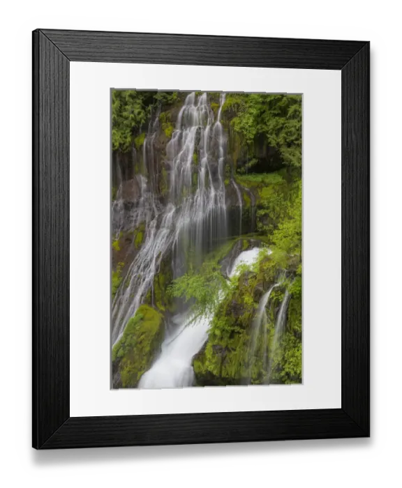 Framed Print : USA, Washington, Gifford Pinchot National Forest. Spring scenic of Panther Creek Waterfall Framed Print : USA, Washington, Gifford Pinchot National Forest. Spring scenic of Panther Creek Waterfall