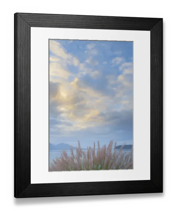 Framed Print : USA, Washington, Seabeck. Scenic of pennisetum ornamental grasses Framed Print : USA, Washington, Seabeck. Scenic of pennisetum ornamental grasses