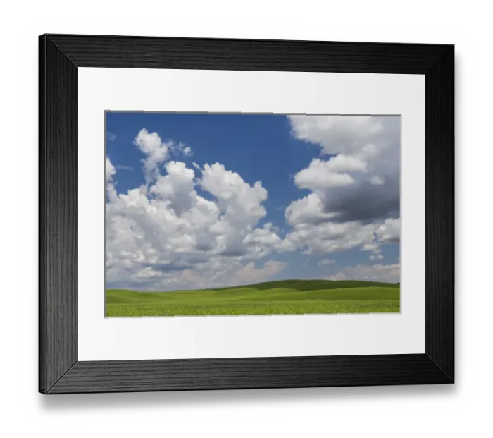 Framed Print : USA, Washington, Palouse Hills. Field of spring peas