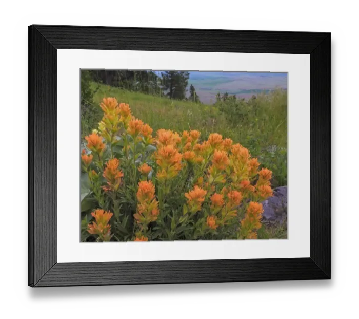 Framed Print : USA, Washington, Kamiak Butte County Park Framed Print : USA, Washington, Kamiak Butte County Park