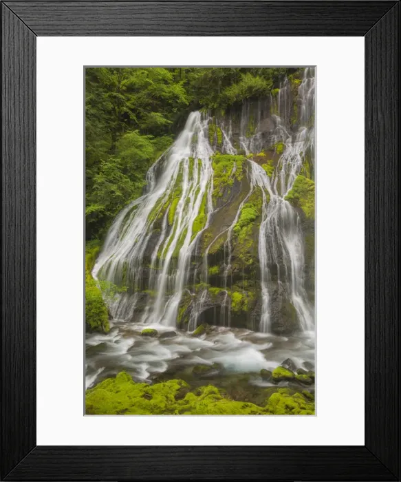 Framed Print : USA, Washington, Gifford Pinchot National Forest. Spring scenic of Panther Creek Waterfall
