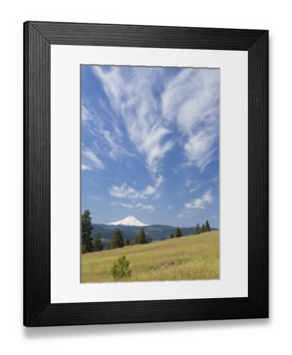 Framed Print : USA, Washington, Columbia River Gorge. Summer meadow landscape Framed Print : USA, Washington, Columbia River Gorge. Summer meadow landscape