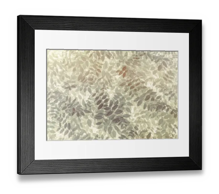Framed Print : USA, Washington, San Juan Islands. Stylized pattern of vetch leaves
