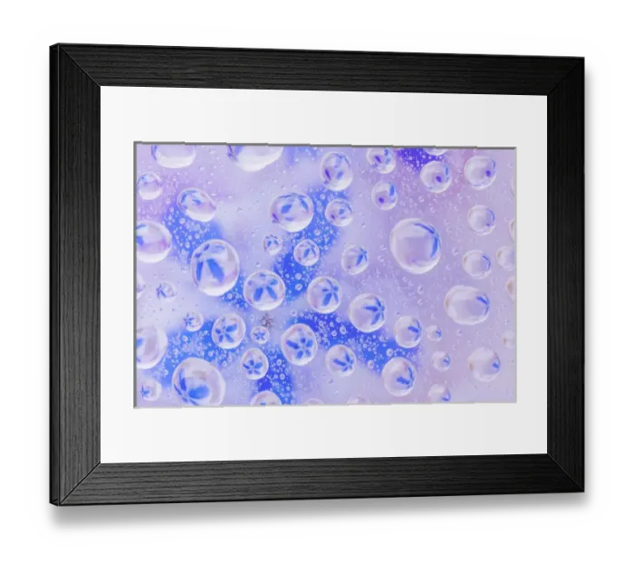 Framed Print : USA, Washington, Seabeck. Field of flowers reflected in water drops Framed Print : USA, Washington, Seabeck. Field of flowers reflected in water drops