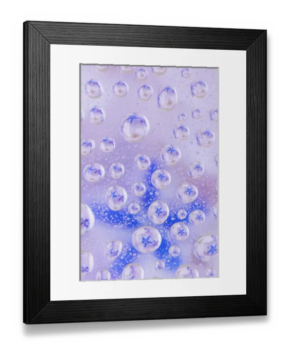 Framed Print : USA, Washington, Seabeck. Flowers reflected in water drops